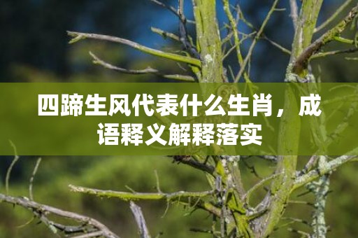 四蹄生风代表什么生肖，成语释义解释落实插图