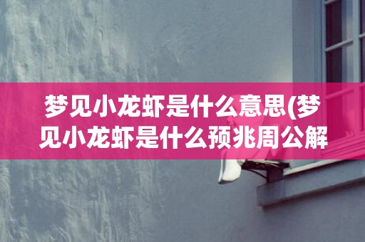 梦见小龙虾是什么意思(梦见小龙虾是什么预兆周公解梦)