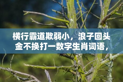 横行霸道欺弱小，浪子回头金不换打一数字生肖词语，成语释义解释落实插图