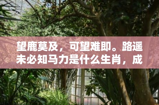 望鹿莫及，可望难即。路遥未必知马力是什么生肖，成语释义解释落实插图