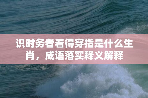 识时务者看得穿指是什么生肖，成语落实释义解释插图