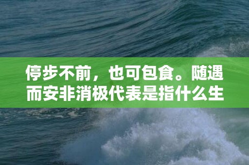 停步不前，也可包食。随遇而安非消极代表是指什么生肖，成语释义解释落实