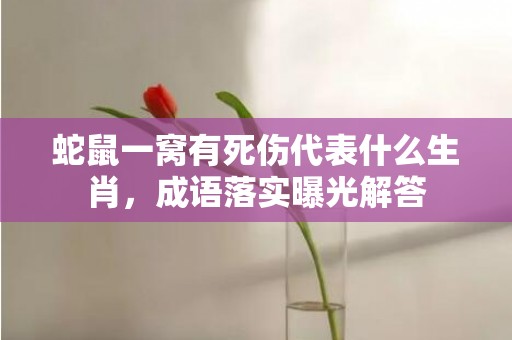 蛇鼠一窝有死伤代表什么生肖，成语落实曝光解答插图