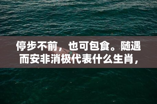 停步不前，也可包食。随遇而安非消极代表什么生肖，成语释义解释落实