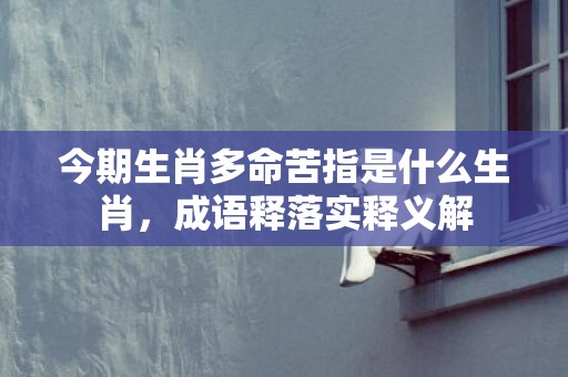 今期生肖多命苦指是什么生肖，成语释落实释义解插图