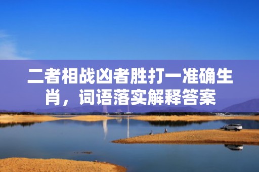 二者相战凶者胜打一准确生肖，词语落实解释答案插图