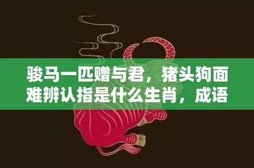 骏马一匹赠与君，猪头狗面难辨认指是什么生肖，成语落实释义解释插图