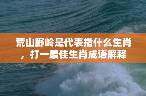 荒山野岭是代表指什么生肖，打一最佳生肖成语解释