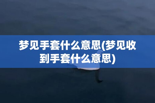 梦见手套什么意思(梦见收到手套什么意思)