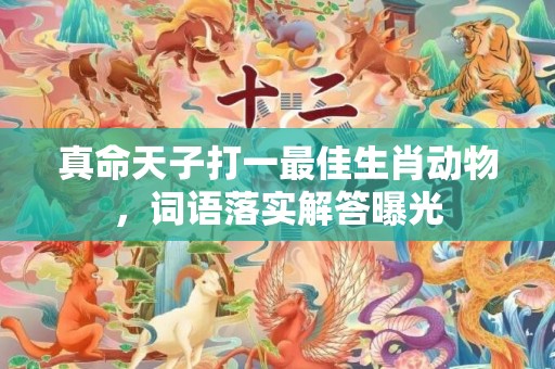 真命天子打一最佳生肖动物，词语落实解答曝光