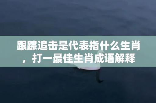 跟踪追击是代表指什么生肖，打一最佳生肖成语解释