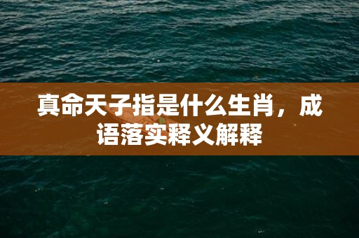 真命天子指是什么生肖，成语落实释义解释插图