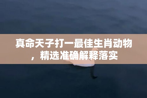 真命天子打一最佳生肖动物，精选准确解释落实插图