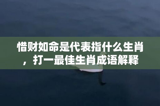 惜财如命是代表指什么生肖，打一最佳生肖成语解释