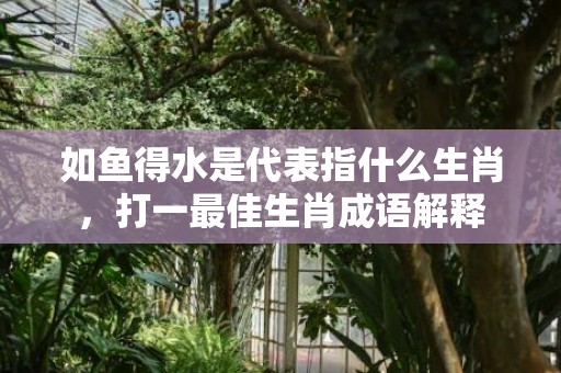 如鱼得水是代表指什么生肖，打一最佳生肖成语解释