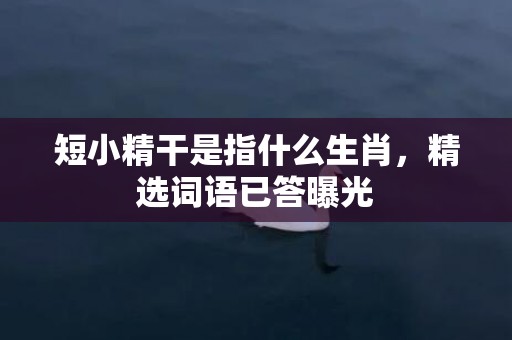 短小精干是指什么生肖，精选词语已答曝光