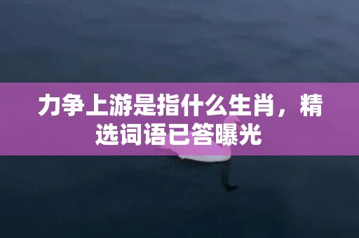 力争上游是指什么生肖，精选词语已答曝光