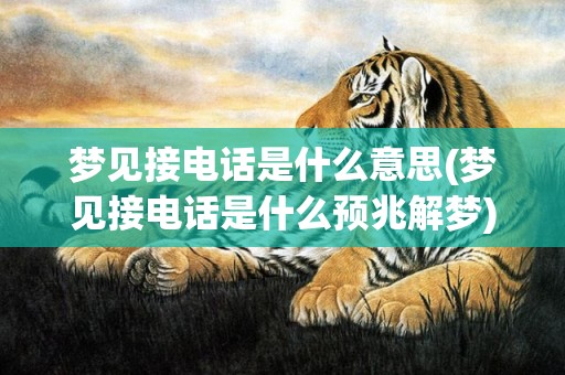 梦见接电话是什么意思(梦见接电话是什么预兆解梦)