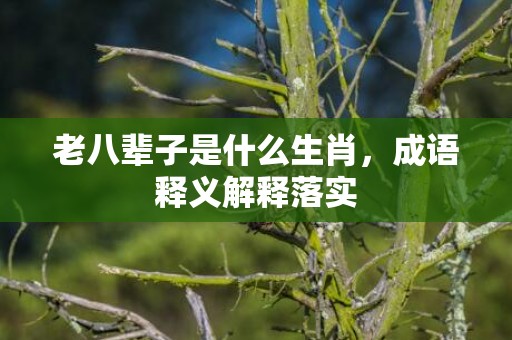 老八辈子是什么生肖，成语释义解释落实插图