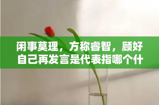 闲事莫理，方称睿智，顾好自己再发言是代表指哪个什么生肖，成语释义解释落实
