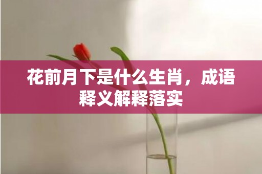 花前月下是什么生肖，成语释义解释落实