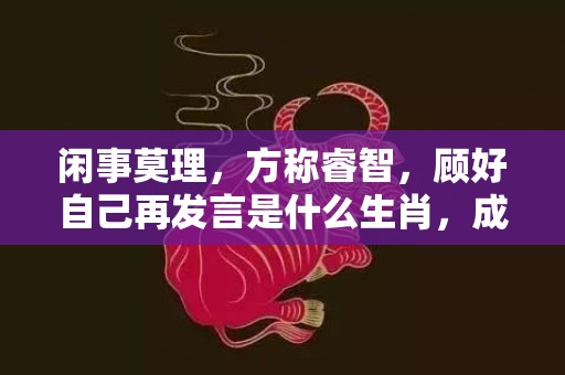 闲事莫理，方称睿智，顾好自己再发言是什么生肖，成语释义解释落实