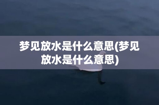 梦见放水是什么意思(梦见放水是什么意思)
