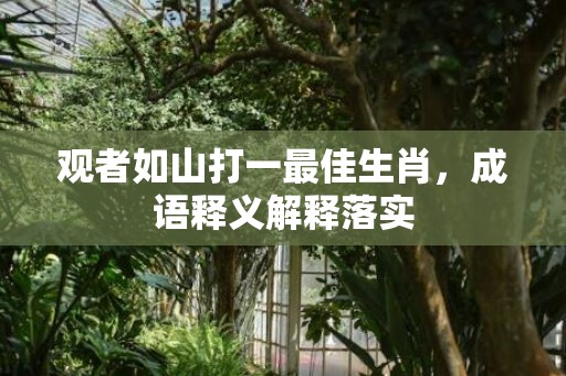 观者如山打一最佳生肖，成语释义解释落实插图