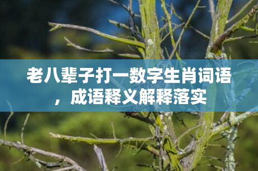 老八辈子打一数字生肖词语，成语释义解释落实插图