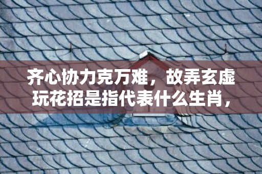 齐心协力克万难，故弄玄虚玩花招是指代表什么生肖，打一最佳生肖词语，成语释义解释落实