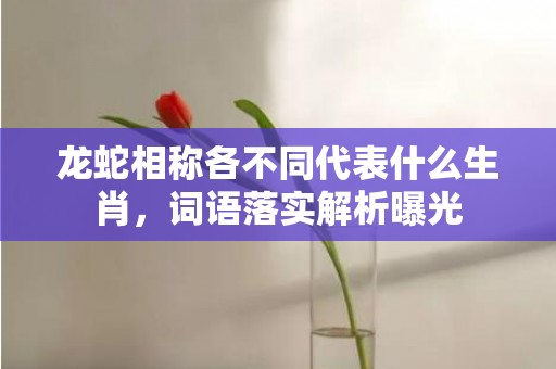 龙蛇相称各不同代表什么生肖，词语落实解析曝光插图