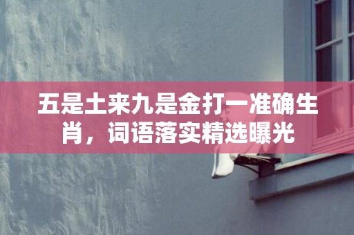 五是土来九是金打一准确生肖，词语落实精选曝光插图