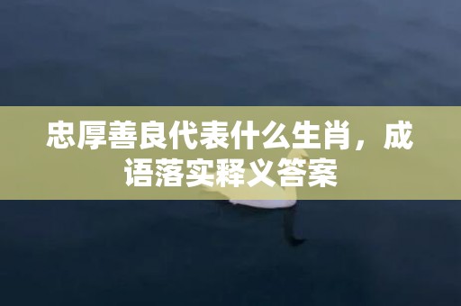 忠厚善良代表什么生肖，成语落实释义答案