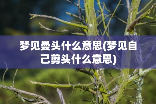 梦见曼头什么意思(梦见自己剪头什么意思)