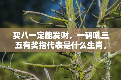 买八一定能发财，一码吼三五有奖指代表是什么生肖，词语落实释义解答