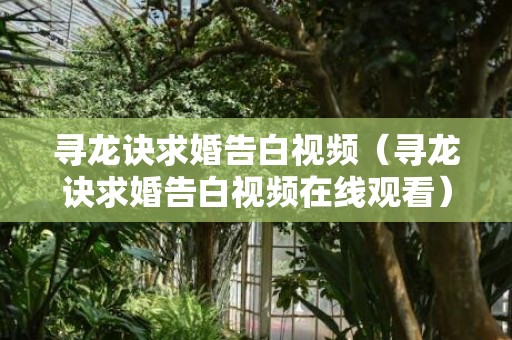 寻龙诀求婚告白视频（寻龙诀求婚告白视频在线观看）
