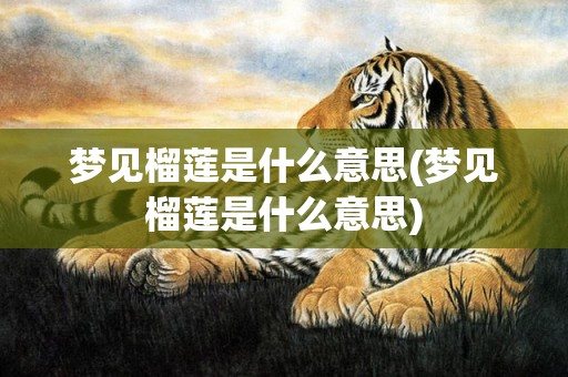 梦见榴莲是什么意思(梦见榴莲是什么意思)