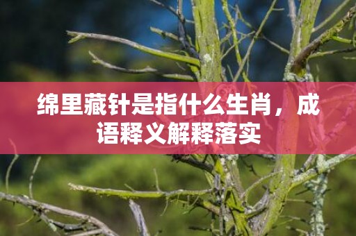 绵里藏针是指什么生肖，成语释义解释落实
