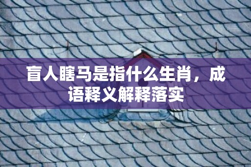 盲人瞎马是指什么生肖，成语释义解释落实