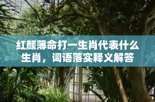 红颜薄命打一生肖代表什么生肖，词语落实释义解答