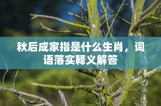 秋后成家指是什么生肖，词语落实释义解答插图