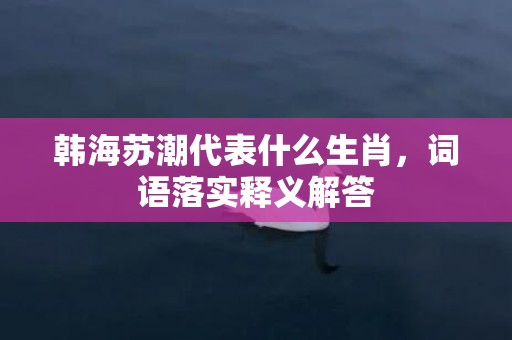 韩海苏潮代表什么生肖，词语落实释义解答