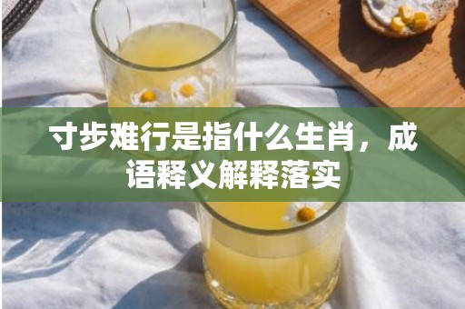 寸步难行是指什么生肖，成语释义解释落实