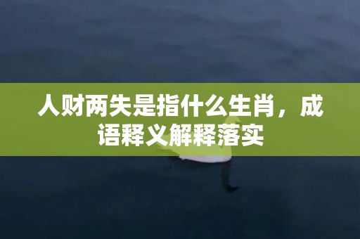 人财两失是指什么生肖，成语释义解释落实
