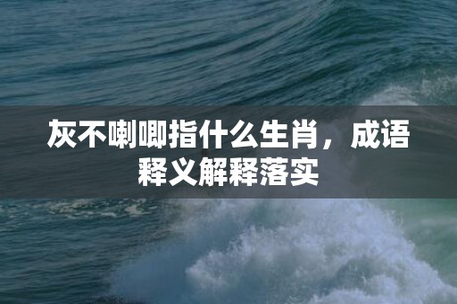 灰不喇唧指什么生肖，成语释义解释落实