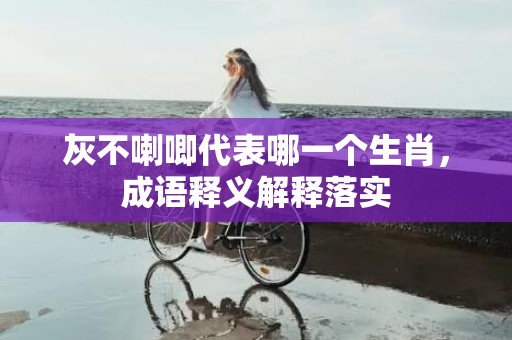 灰不喇唧代表哪一个生肖，成语释义解释落实