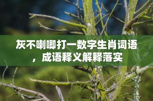 灰不喇唧打一数字生肖词语，成语释义解释落实插图