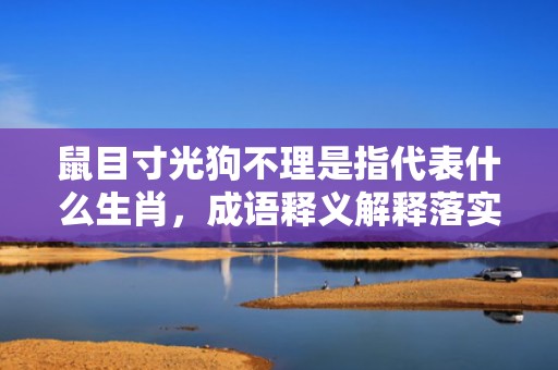 鼠目寸光狗不理是指代表什么生肖，成语释义解释落实