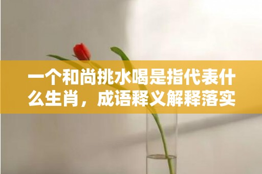 一个和尚挑水喝是指代表什么生肖，成语释义解释落实