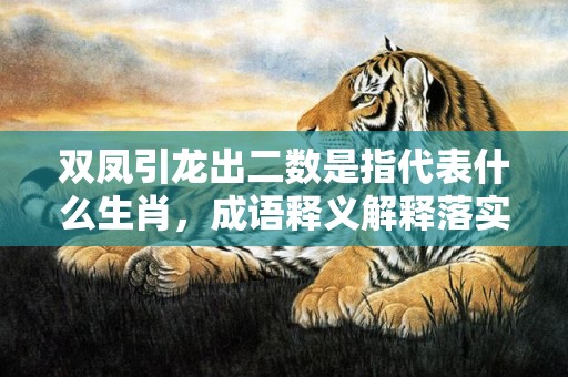 双凤引龙出二数是指代表什么生肖，成语释义解释落实